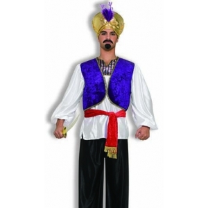 Desert Prince Costumes - Bollywood and Arabian Costumes